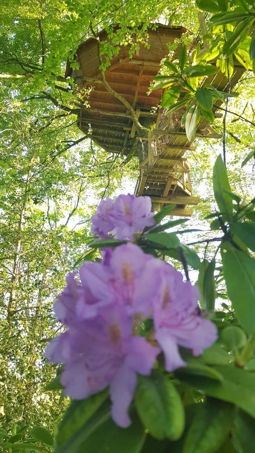 เลอ โดแมน เดอ แวล เลเจ้นด์ รีสอร์ต Bed & Breakfast Wail ห้อง รูปภาพ